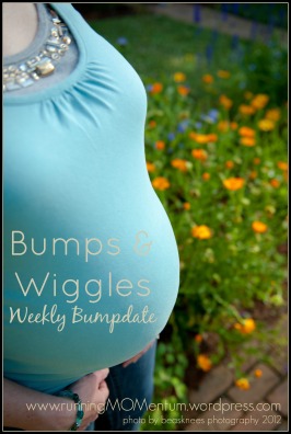 Bumps & Wiggles blog header